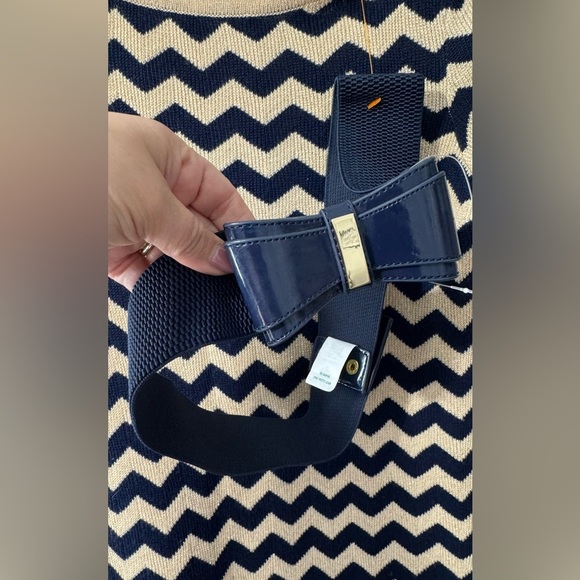 NEW Lilly Pulitzer Santana Dazzle Stripe Sweater Dress - Picture 3 of 5